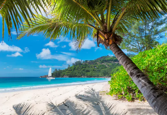 CARIBE 