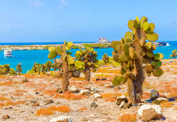 Crucero Islas Galápagos